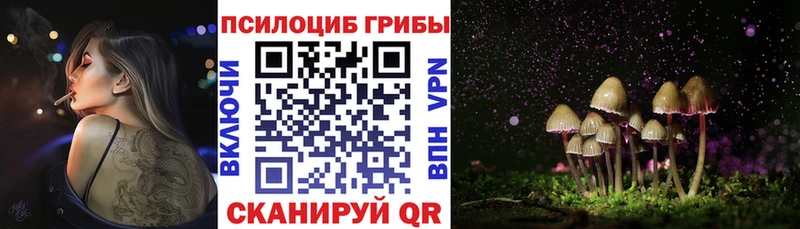 Псилоцибиновые грибы Cubensis  Старая Русса 